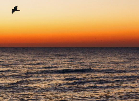 Ciclo Circadiano: O Relógio Natural do Nosso Corpo A Consultoria de Sono Materno Infantil - Ciclo circadiano 846x800