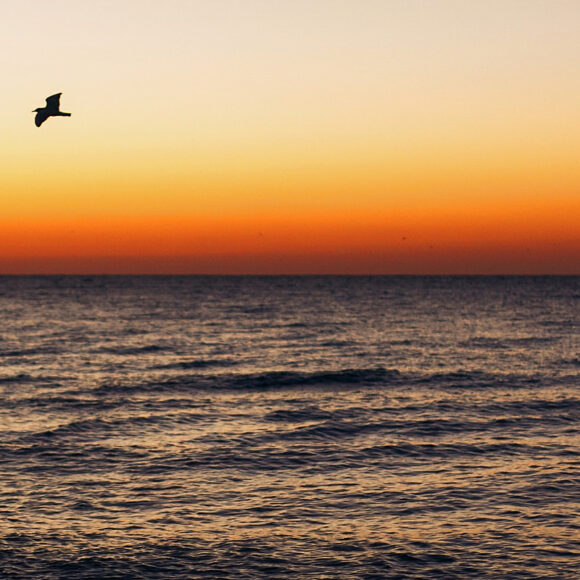 A Consultoria de Sono Materno Infantil - Ciclo circadiano 846x800