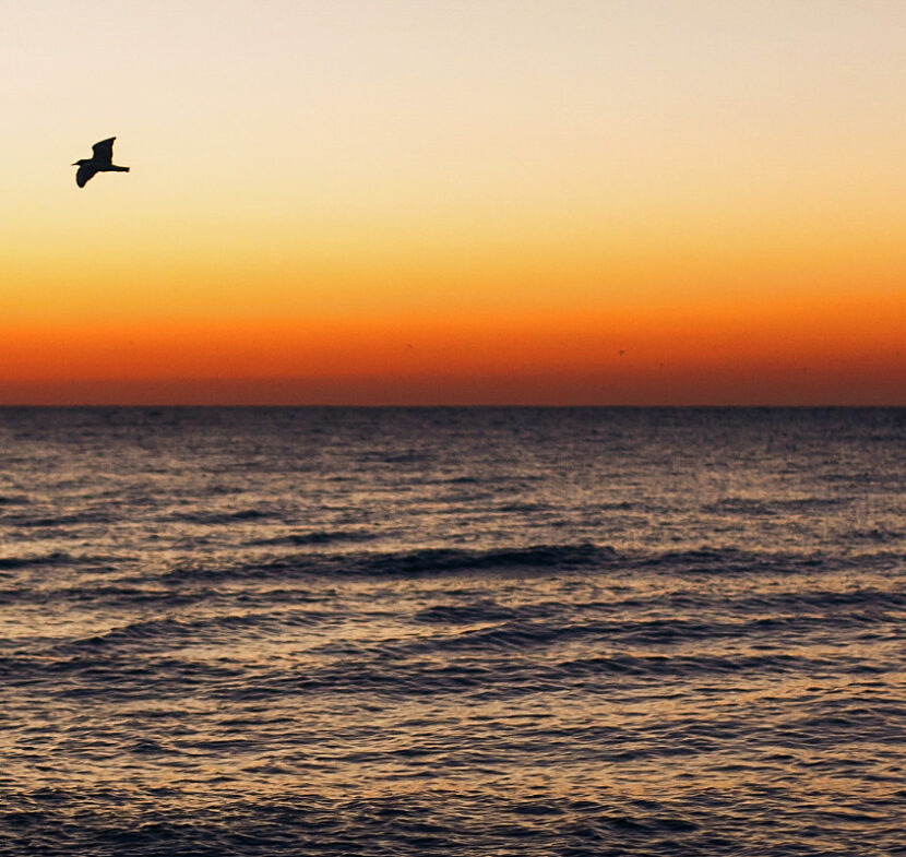 Ciclo Circadiano: O Relógio Natural do Nosso Corpo A Consultoria de Sono Materno Infantil - Ciclo circadiano 846x800