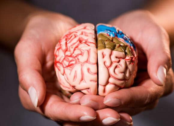 Como a Neurociência ajuda meu Bebê a dormir melhor? A Consultoria de Sono Materno Infantil - Neurociencia e Bebe 846x800