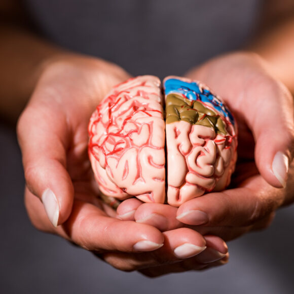 A Consultoria de Sono Materno Infantil - Neurociencia e Bebe 846x800